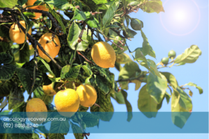 head and neck cancer 