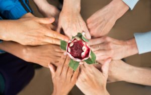Head & Neck Support Group | Cancer Care at ORSI